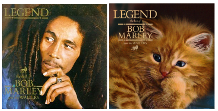 Fotografia pet com gato na capa de álbum de Bob Marley