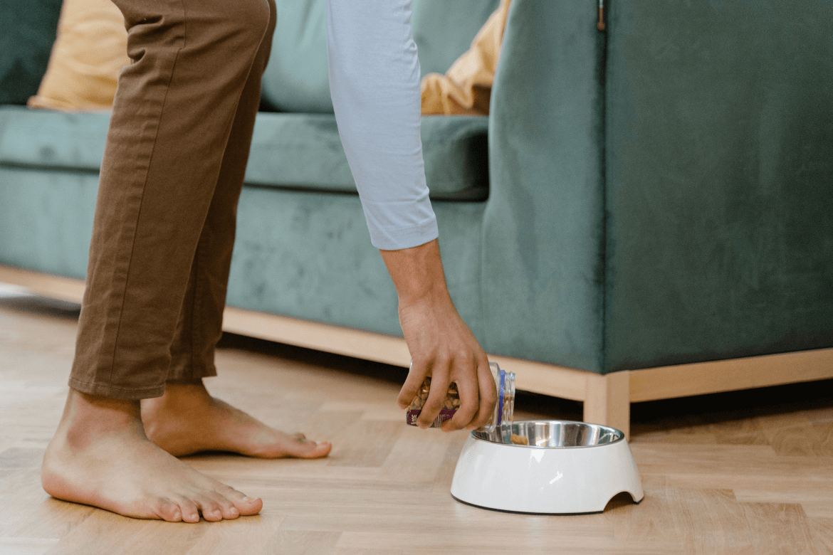 The image shows a man putting food in the pet's feeder