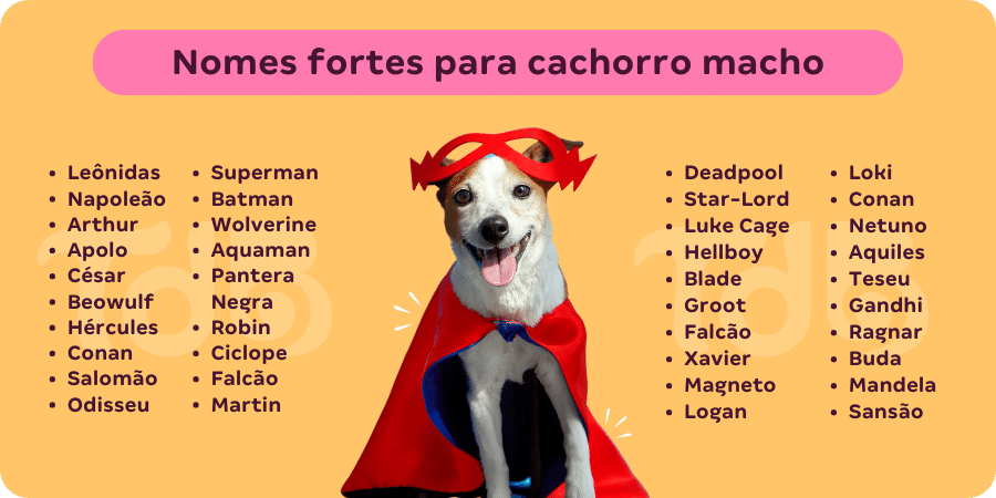 150 NOMES para cachorros marrons - Originais e criativos!