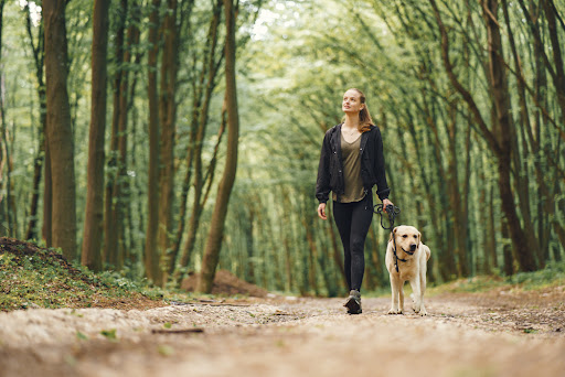 Foto de tutora passeando com cachorro com roupas para se proteger do carrapato estrela