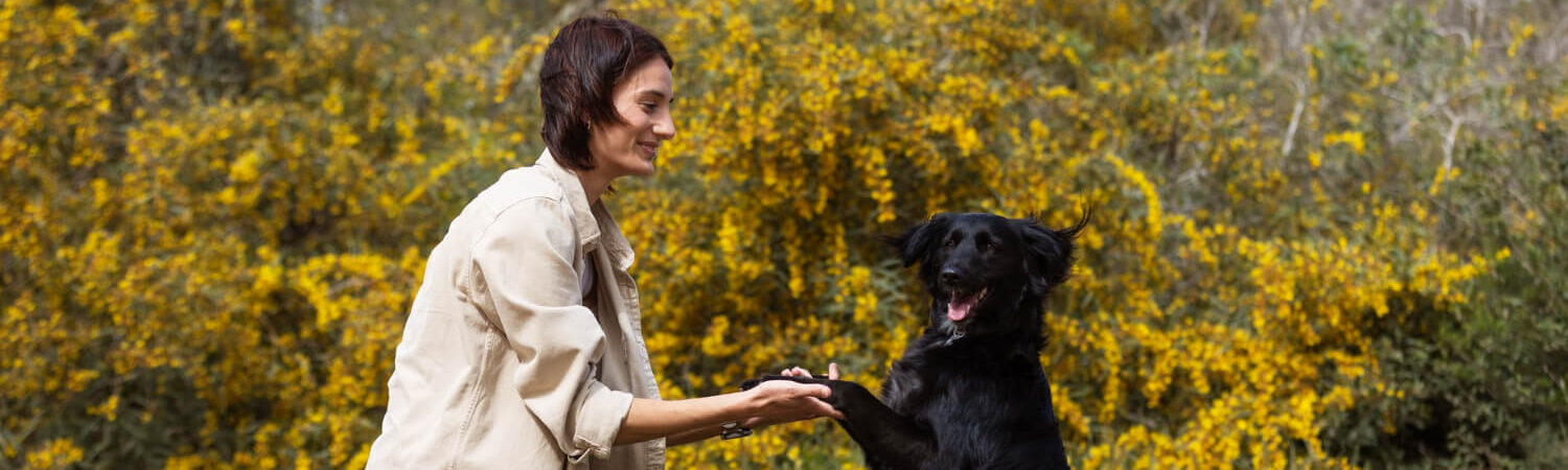 Foto de uma mulher adestrando seu cão