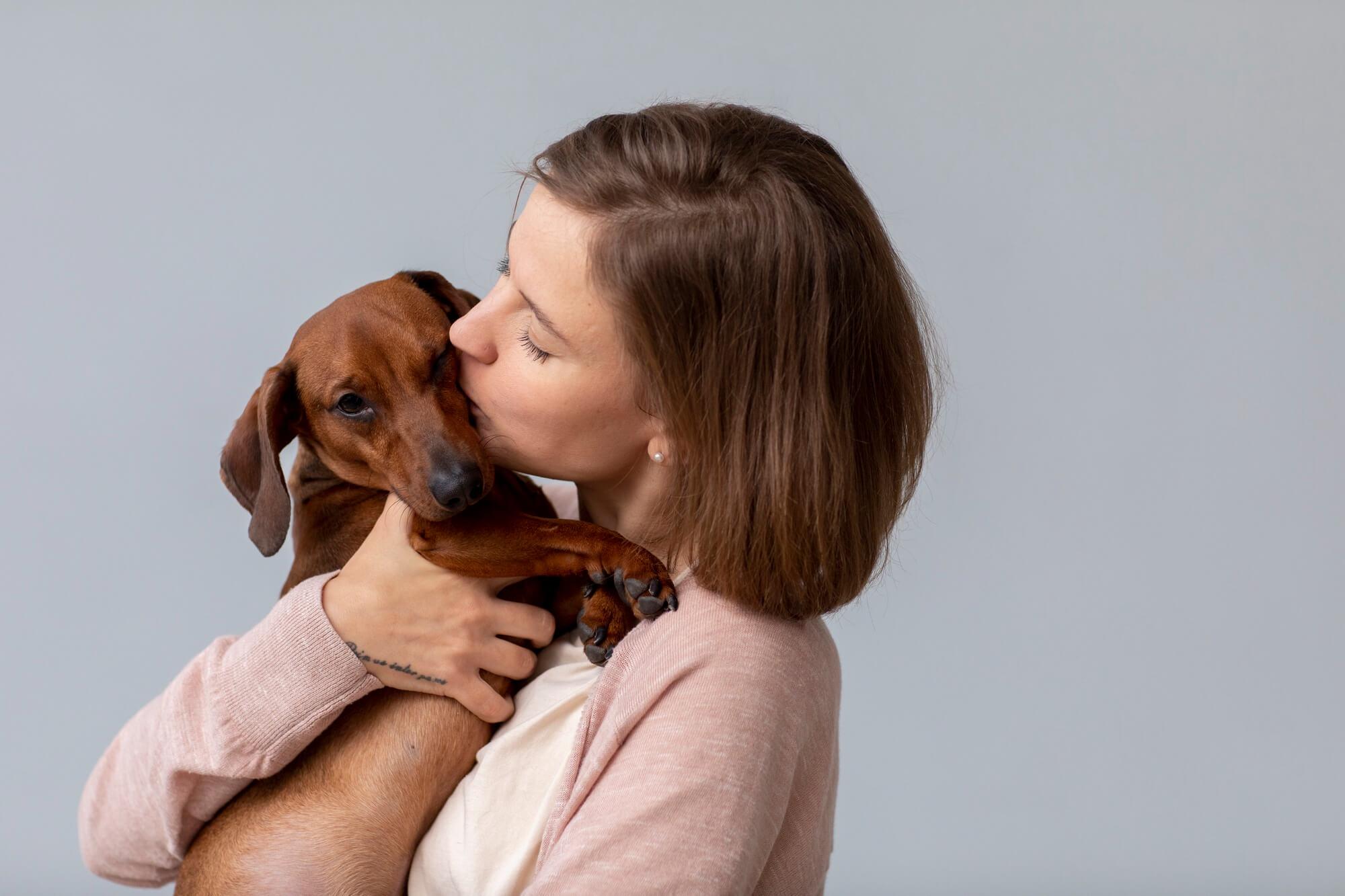 Foto de um cachorro dachshund recebendo carinho de sua dona