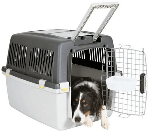 Imagem ilustrativa de uma caixa de transporte para cachorro