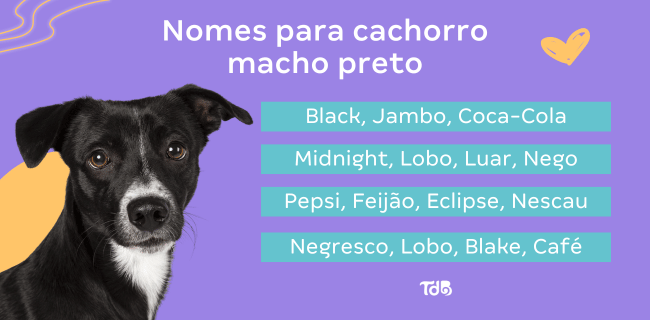 Banner com opções de nomes para cachorro macho preto
