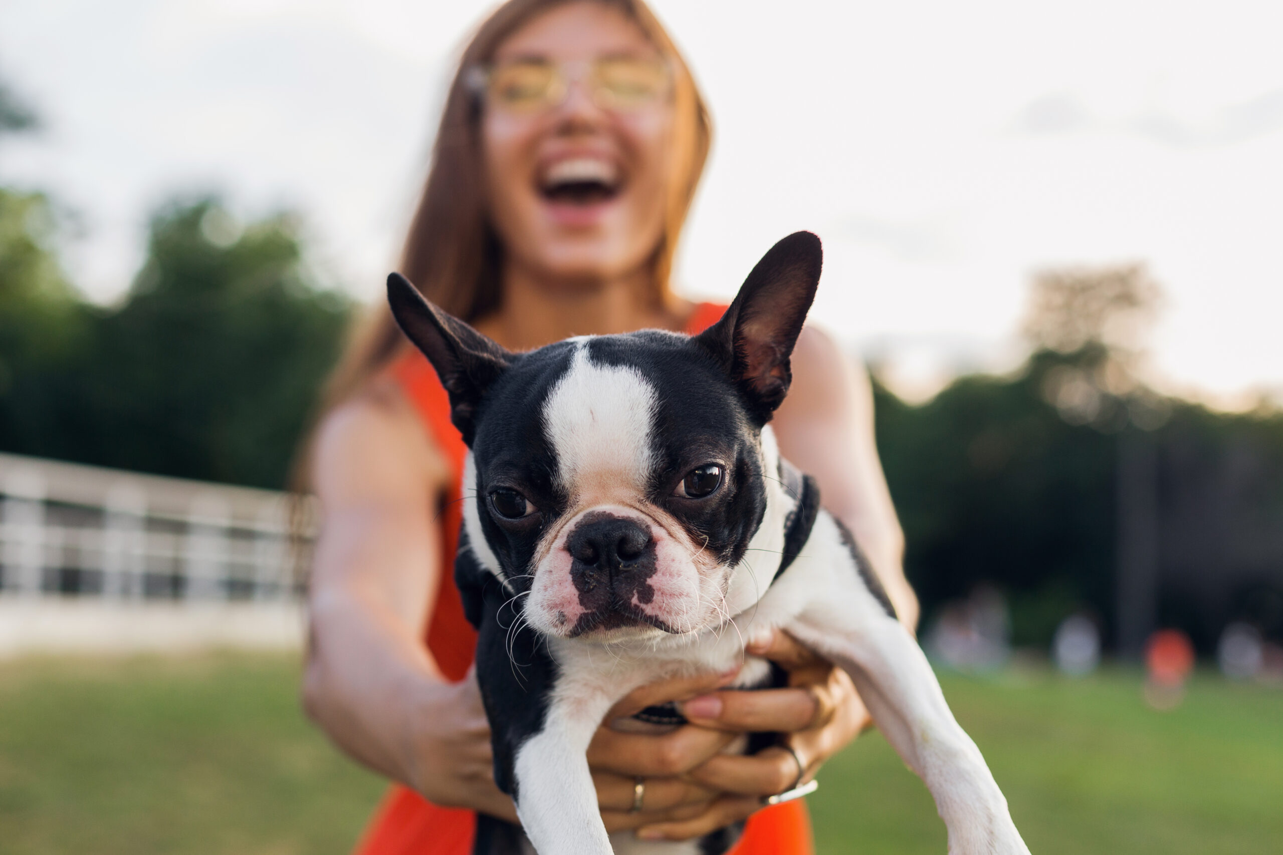 As 10 Raças de Cachorro Pequenas Mais Queridas