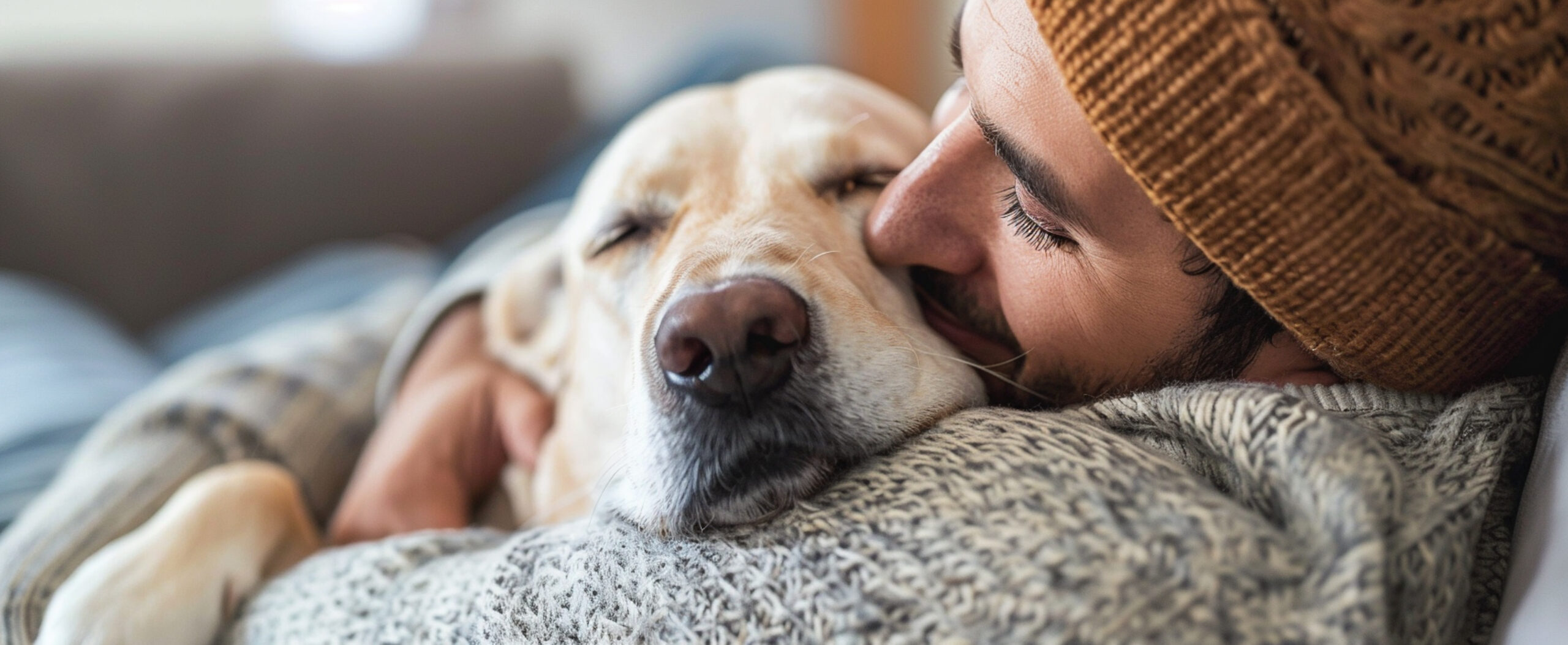 Fevereiro Roxo: Cuidando da Saúde dos Pets Idosos